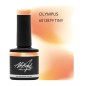 Abstract Opalescent Shield & Shine Top Gel OLYMPUS 7.5ml