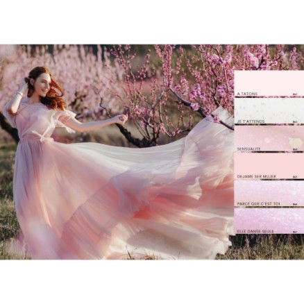 Abstract  Brush N' Color Collectie JARDIN SECRET 6 x 10ml